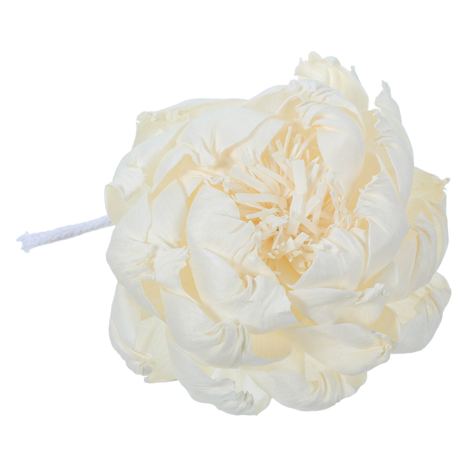 Ароматический диффузор в виде  – обзор и цена Home Fragrance Diffuser Oil